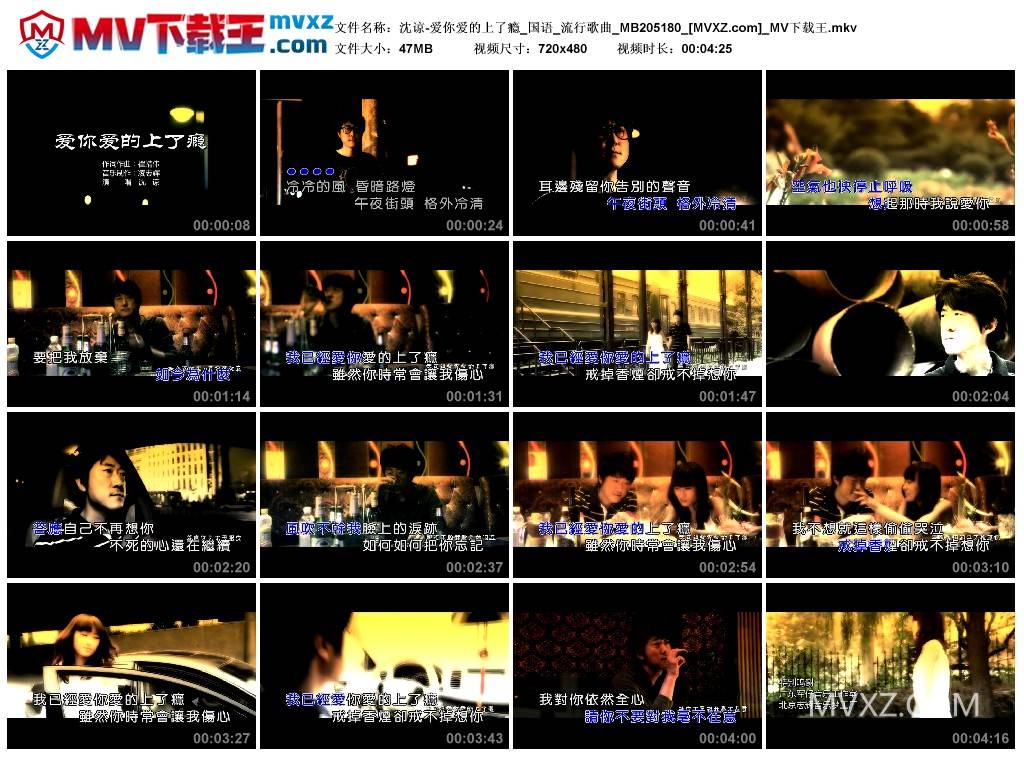 沈谅-爱你爱的上了瘾_国语_流行歌曲_MB205180